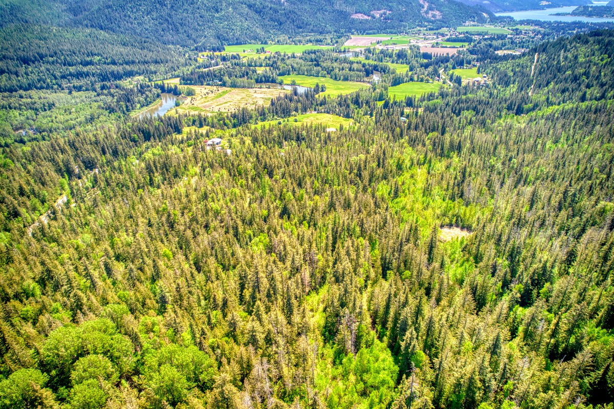 HARPER TWINS Real Estate Group HERITAGE FARMS 2495 SAMUELSON RD